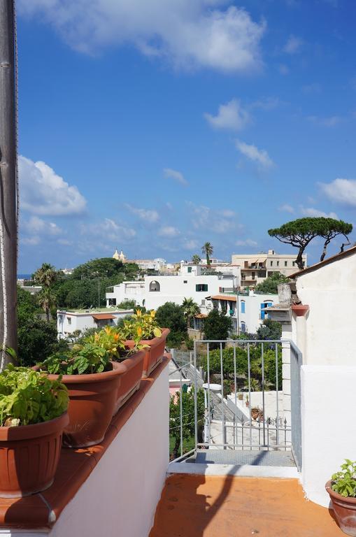 Ring Hostel Forio di Ischia Dış mekan fotoğraf